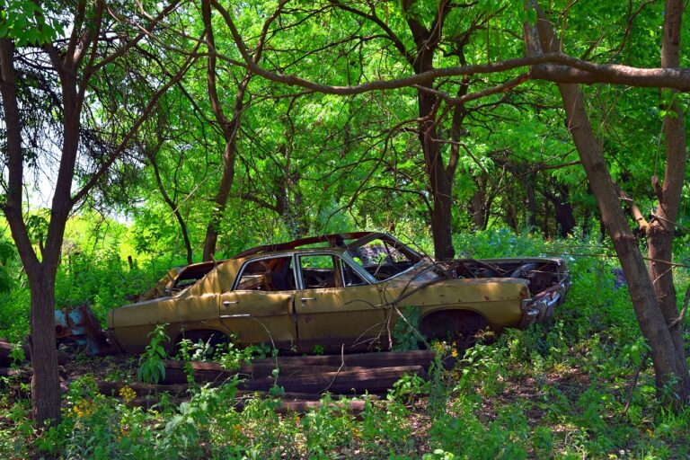 The Future of Car Subscription Models: Integration with Sustainable Transportation Initiatives