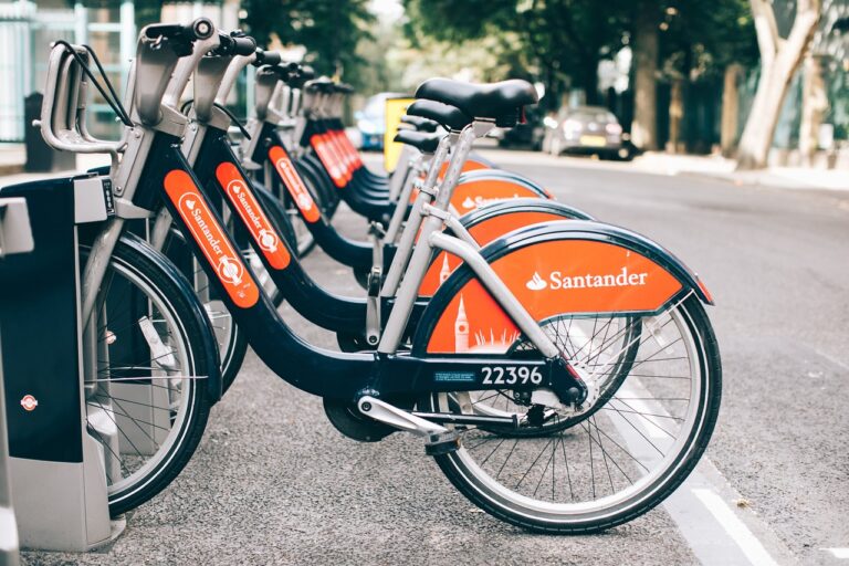 The Role of Cricket Clubs in Promoting Youth Sports