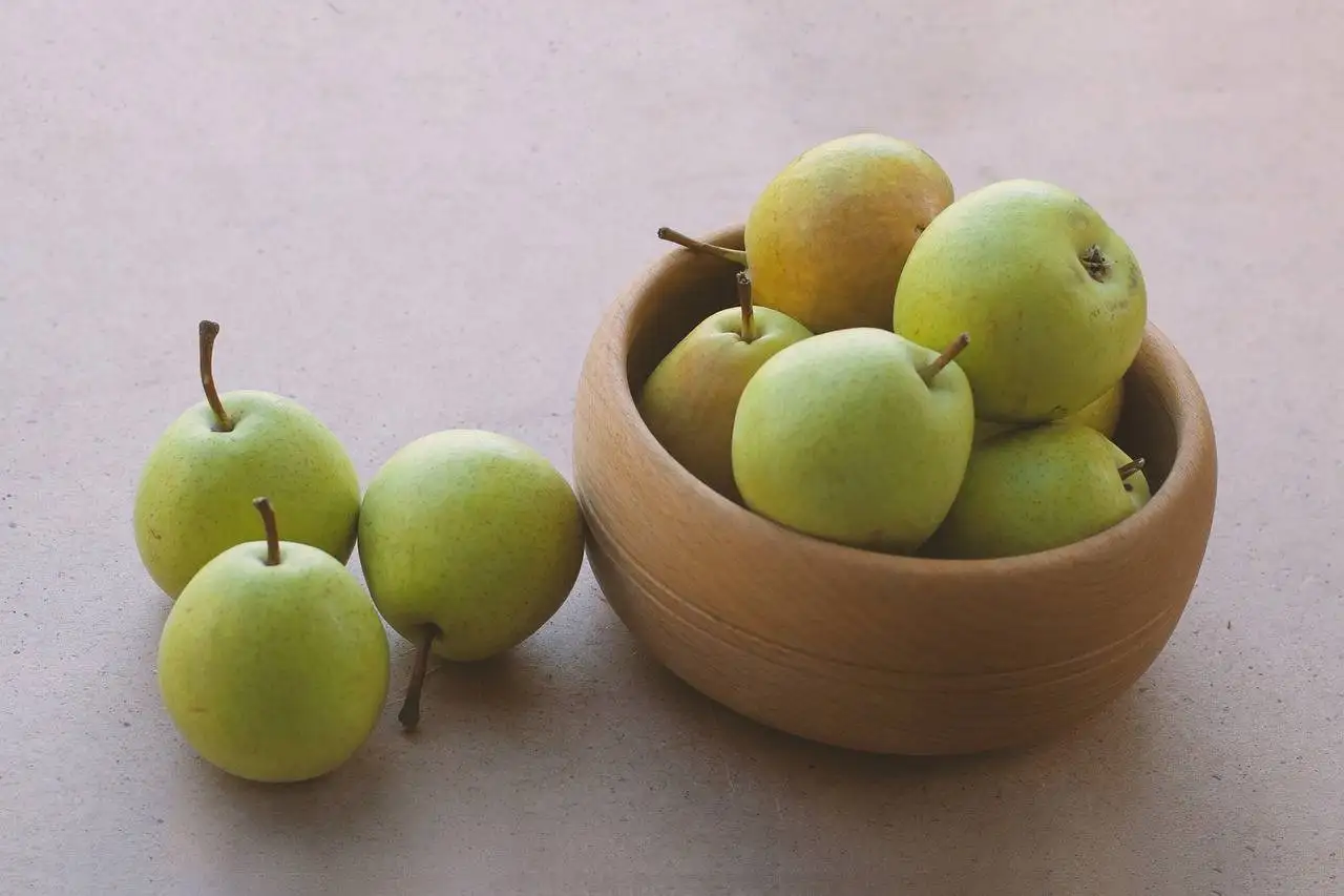 Impact of Chronic Stress on Respiratory Conditions