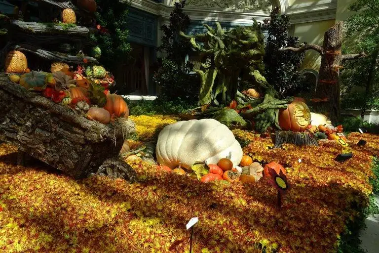 The Role of Criticism in Shaping Audience Perception of Entertainment