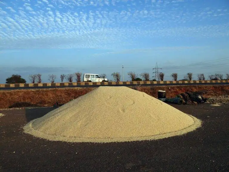 The Role of Political Action Committees (PACs) in Elections