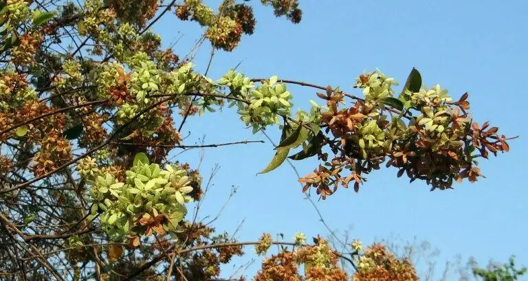 Exploring the Impact of Election Administration on Voter Confidence