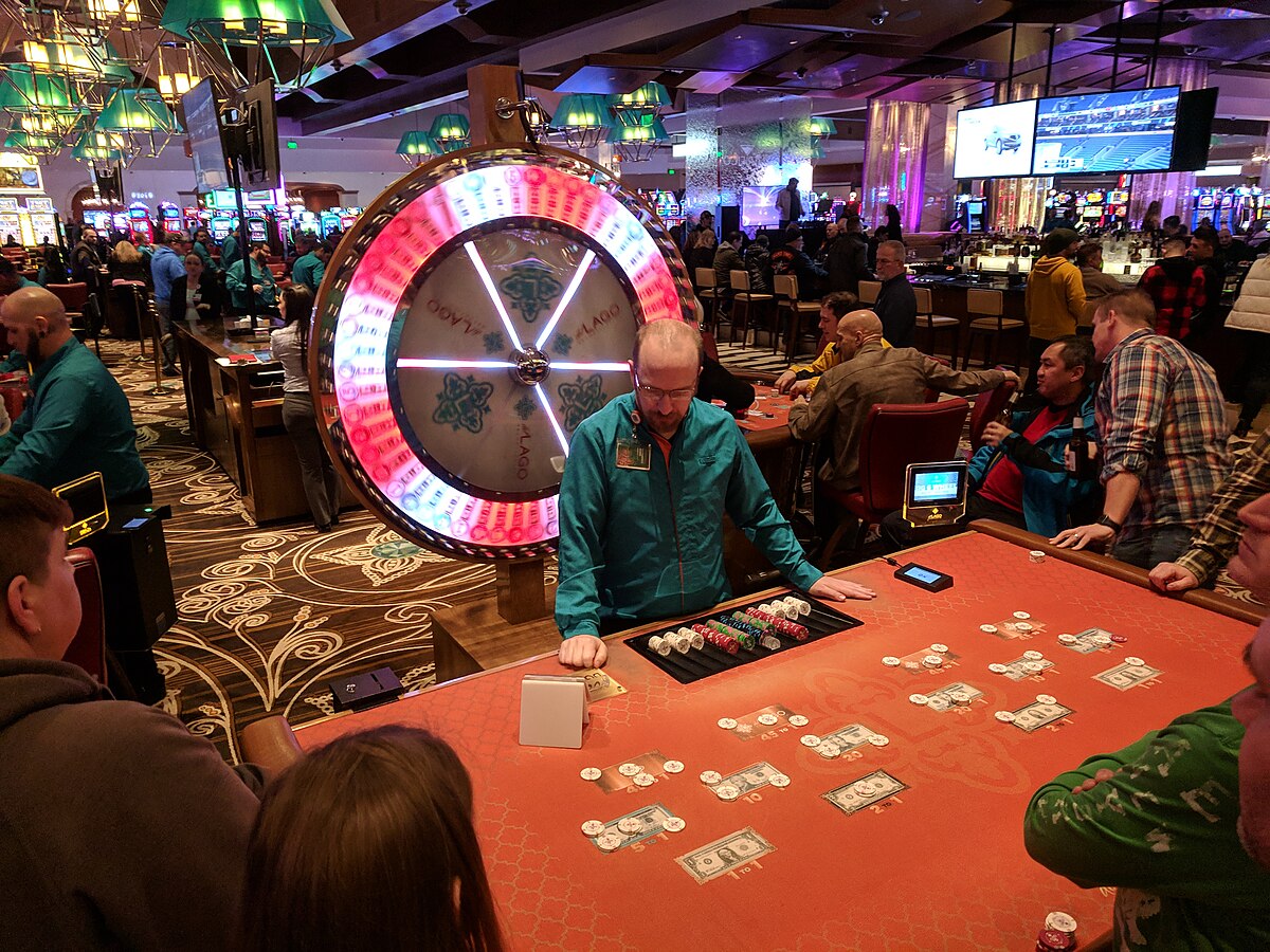 11xplay Pro, 11xplay Login, 11xplay Signup: